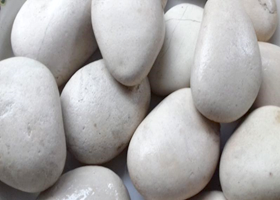 Ivory Pebble